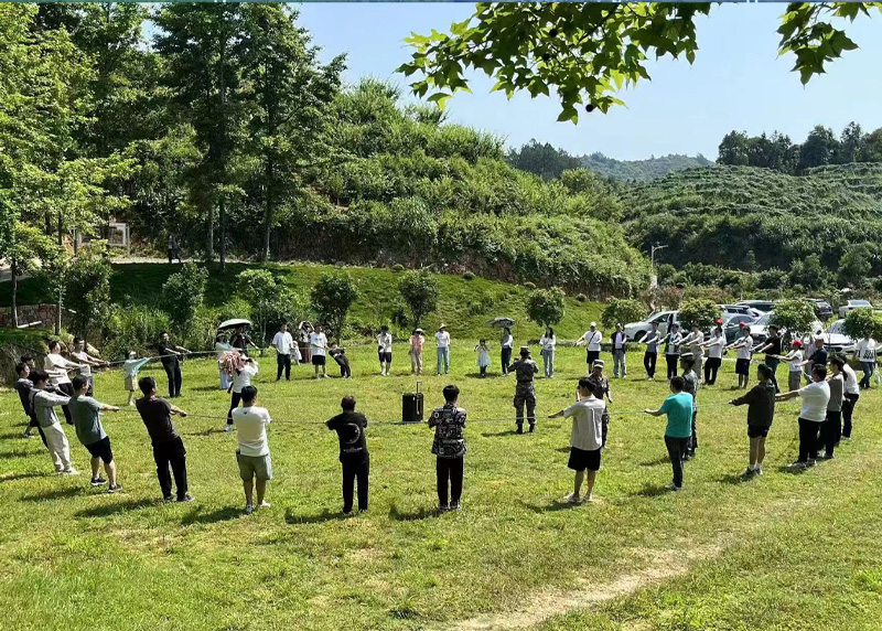 人才